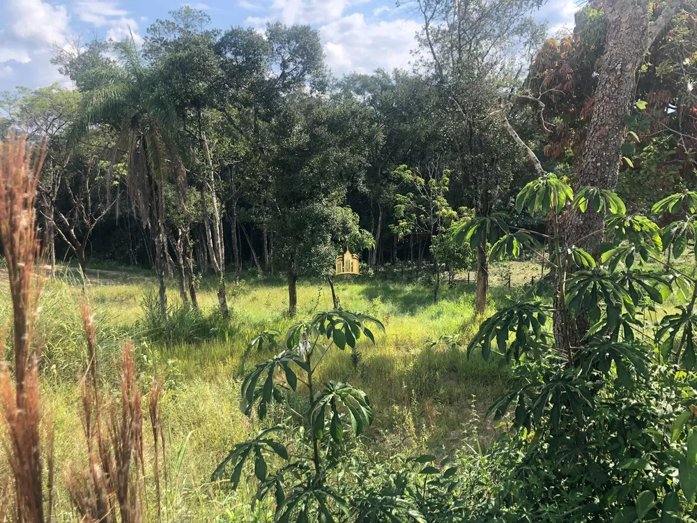 Terreno, 3486 m² - Foto 6