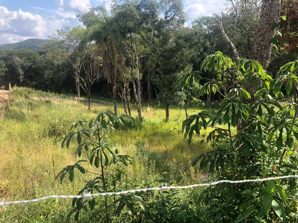 Terreno, 3486 m² - Foto 5