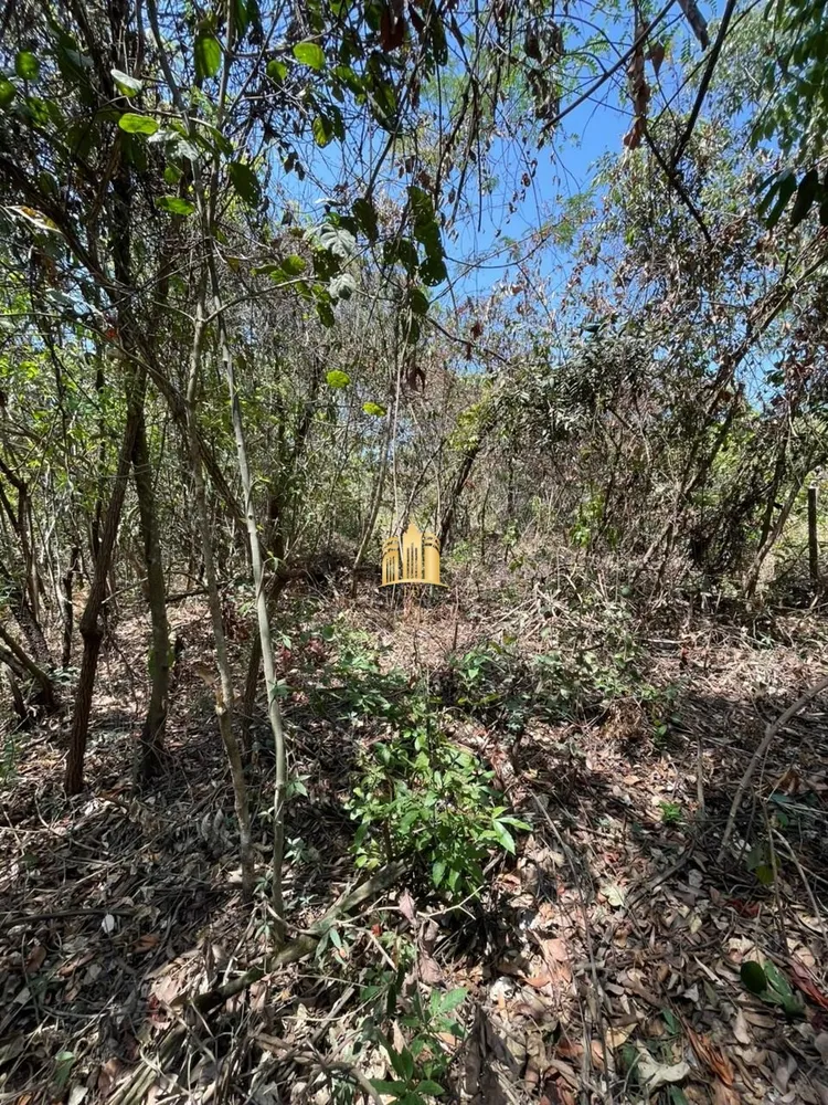 Terreno, 1200 m² - Foto 1