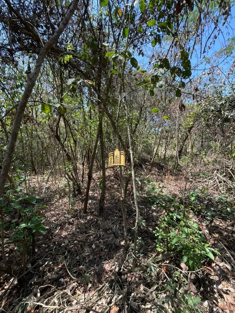 Terreno, 1200 m² - Foto 2
