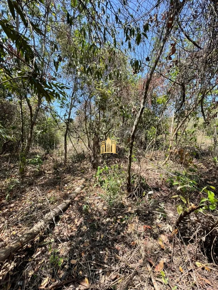 Terreno, 1200 m² - Foto 8