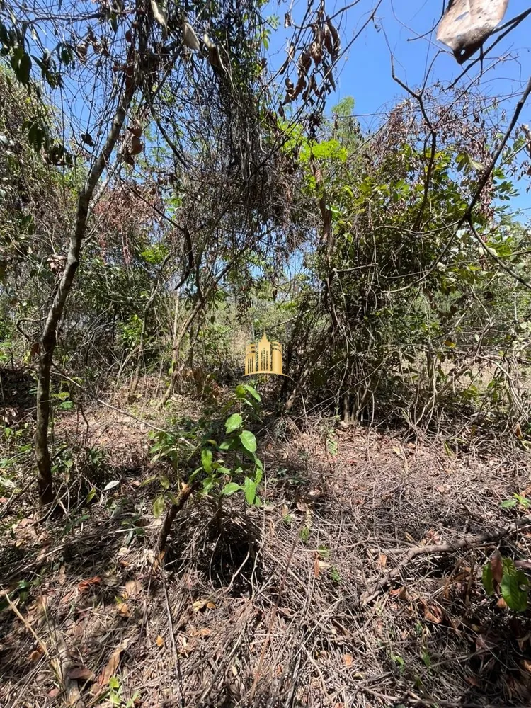 Terreno, 1200 m² - Foto 4
