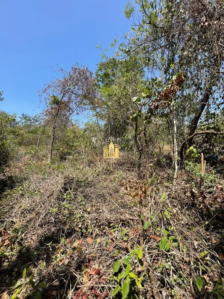 Terreno, 1200 m² - Foto 7