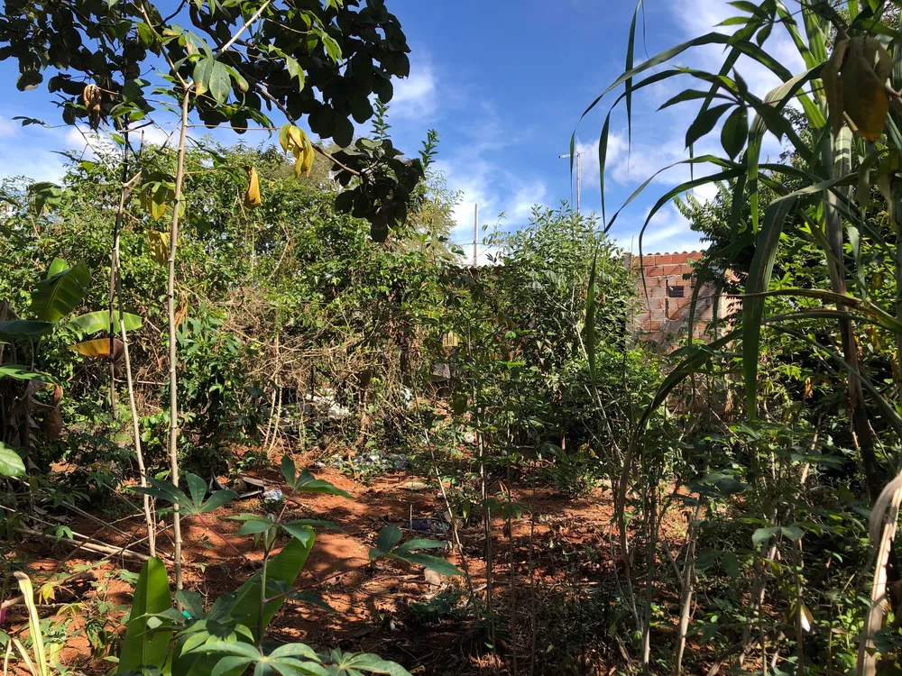 Casa, 2 quartos, 360 m² - Foto 11