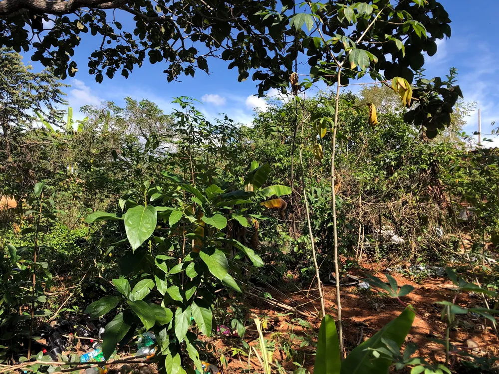 Casa, 2 quartos, 360 m² - Foto 2