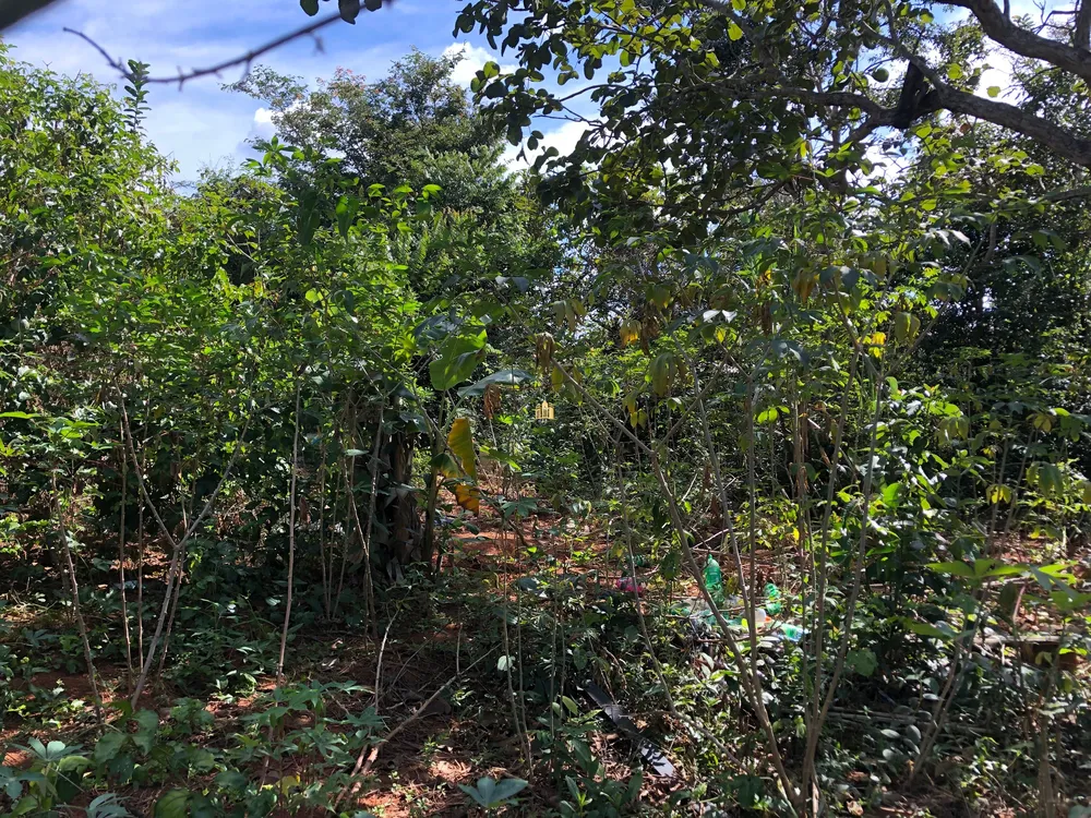 Casa, 2 quartos, 360 m² - Foto 15