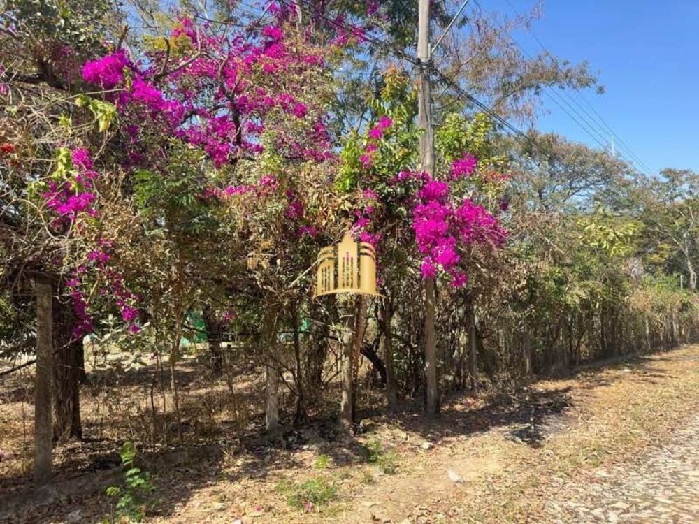 Terreno, 1000 m² - Foto 3