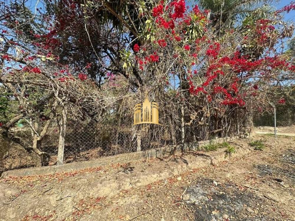 Terreno, 1000 m² - Foto 4