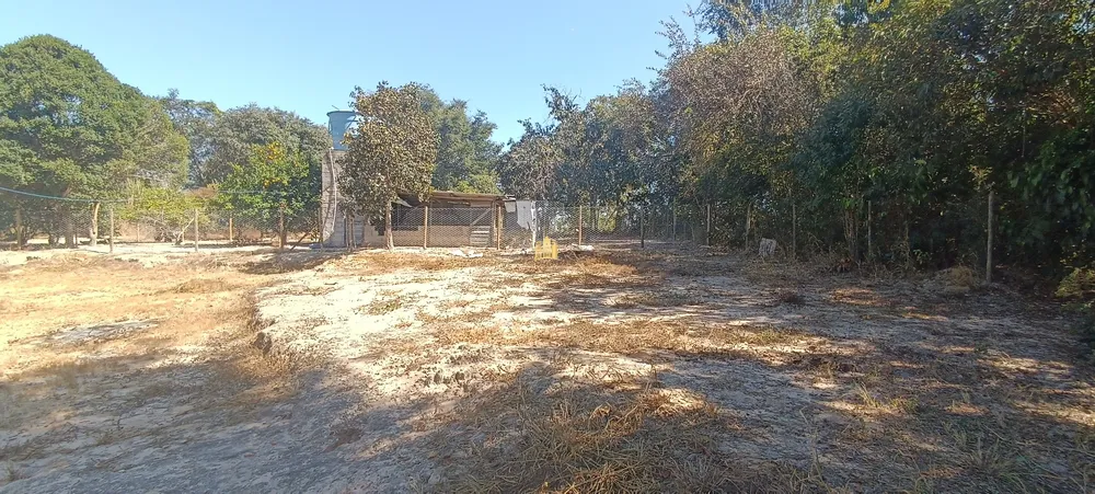 Sítio, 3 quartos, 2 hectares - Foto 14