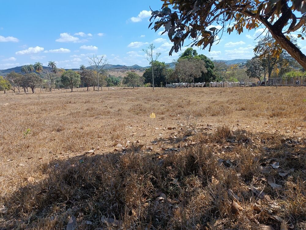 Terreno, 384 m² - Foto 7