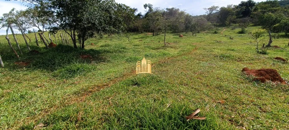 Terreno, 18 hectares - Foto 3