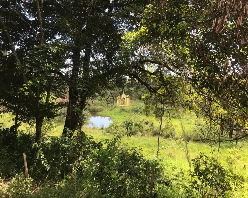 Sítio, 2 quartos, 44000 m² - Foto 9