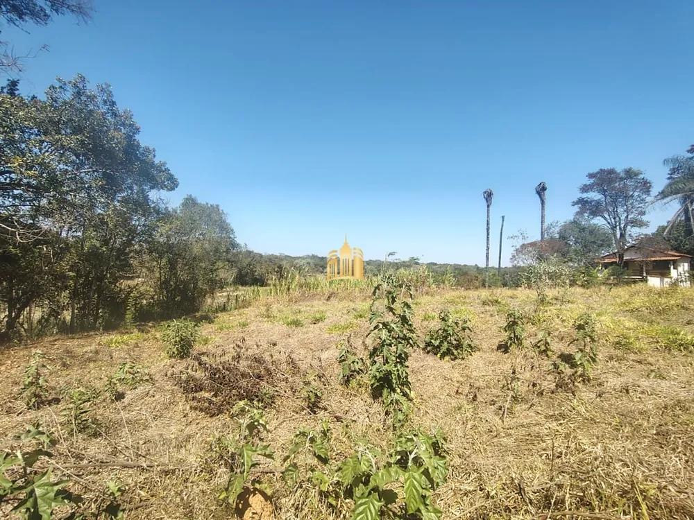 Chácara, 2 quartos, 2643 m² - Foto 8