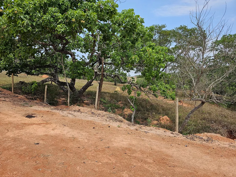 Terreno, 2 hectares - Foto 7