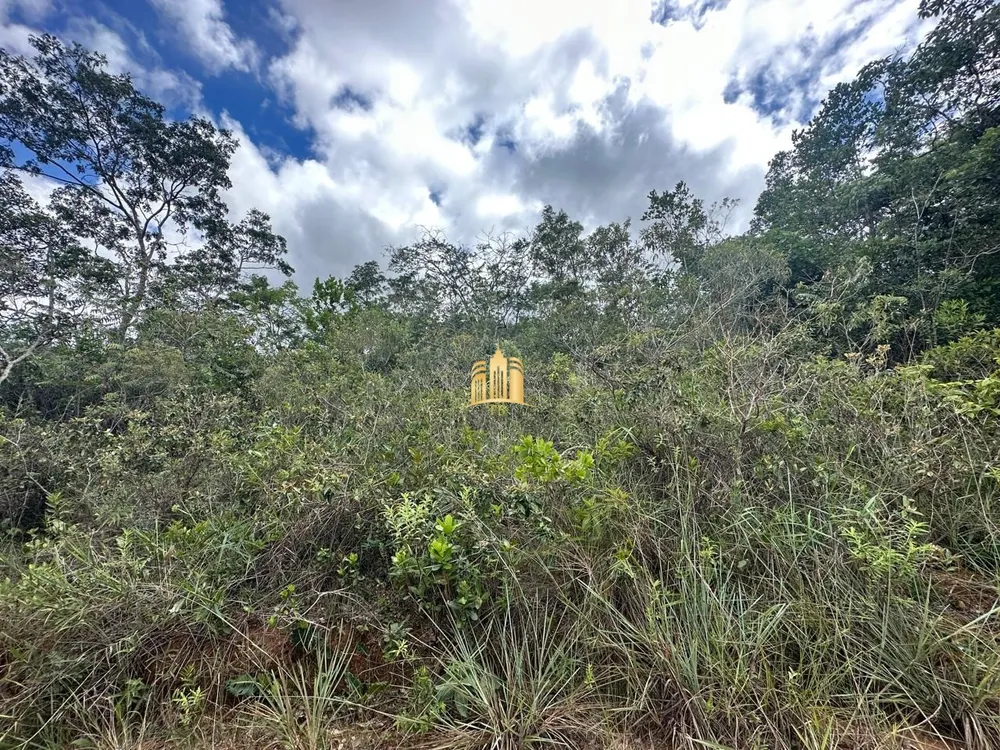Terreno, 2500 m² - Foto 11
