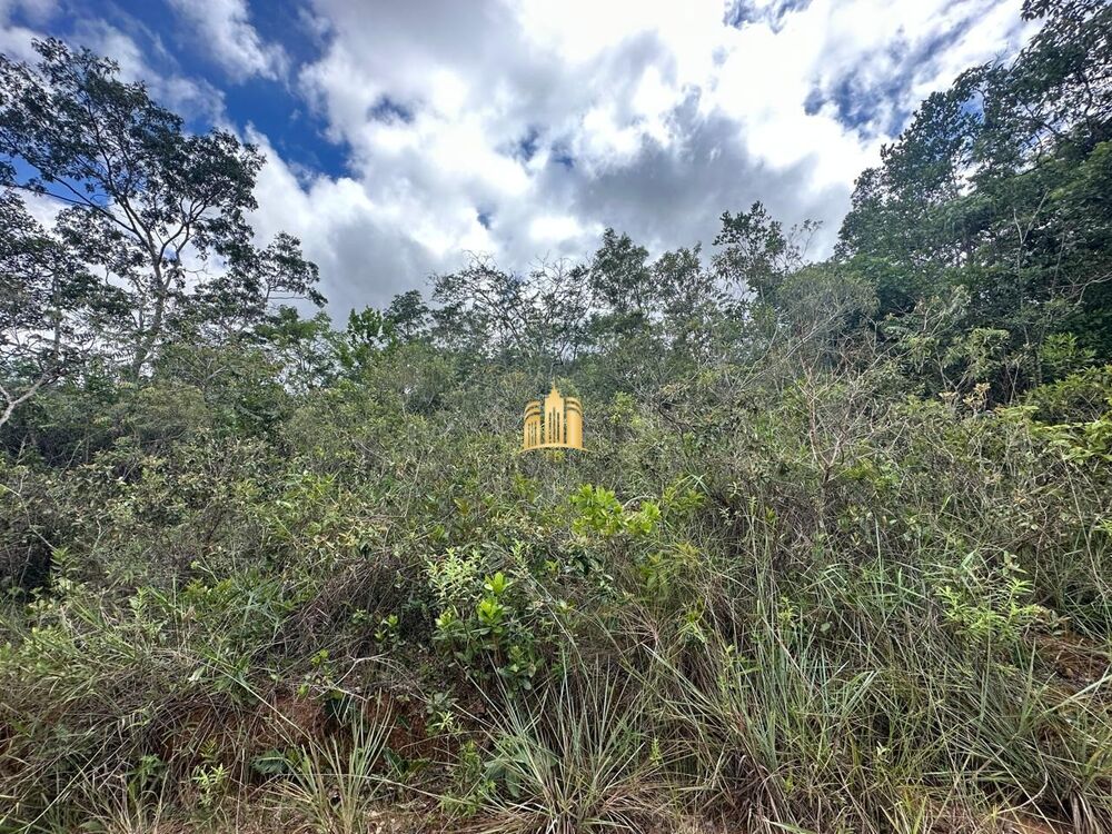 Terreno, 2500 m² - Foto 4