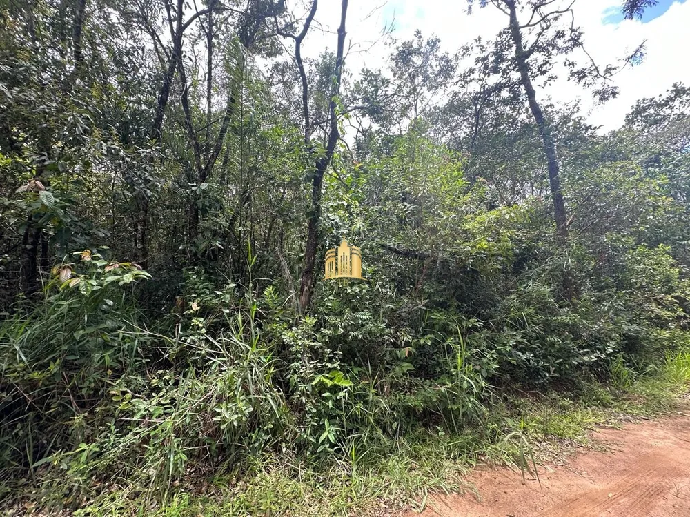 Terreno, 2500 m² - Foto 8