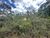 Terreno, 2500 m² - Foto 4