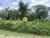 Terreno, 5000 m² - Foto 6