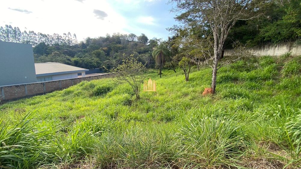 Terreno, 2268 m² - Foto 6