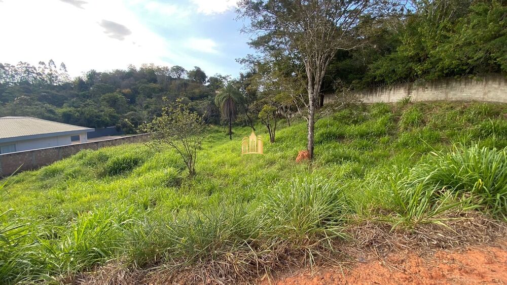 Terreno, 2268 m² - Foto 8