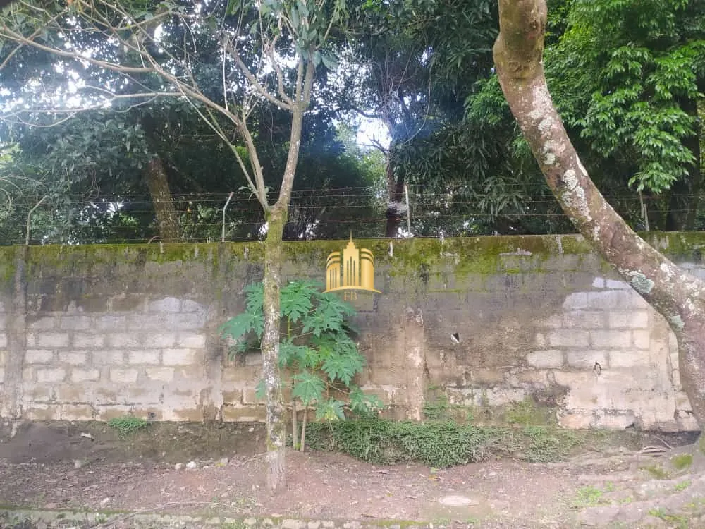 Terreno, 450 m² - Foto 2