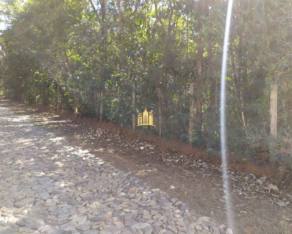 Terreno, 5000 m² - Foto 2