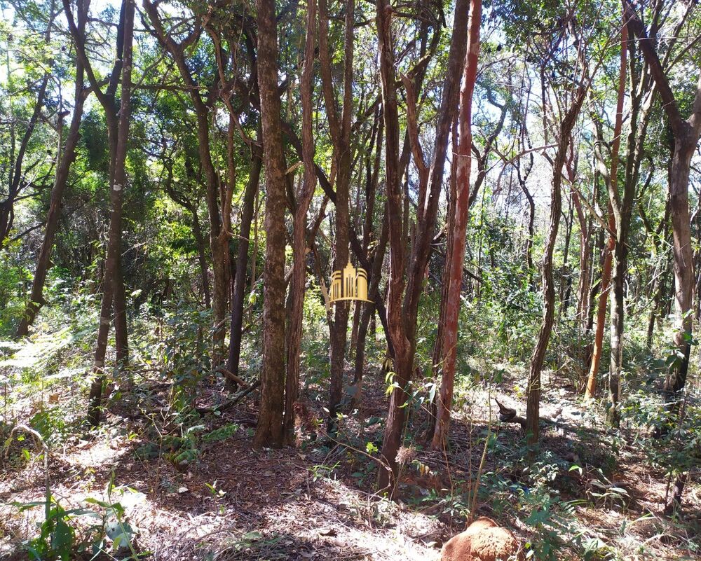 Terreno, 5000 m² - Foto 3