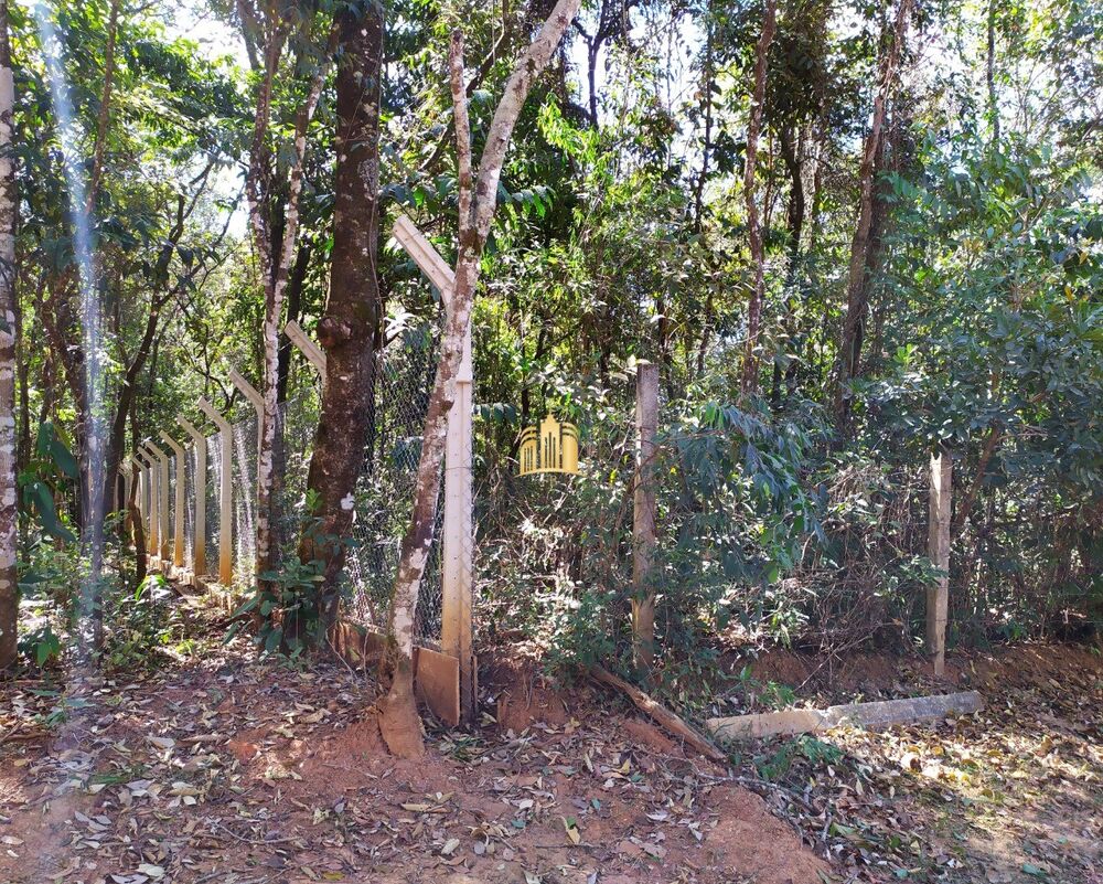 Terreno, 5000 m² - Foto 4