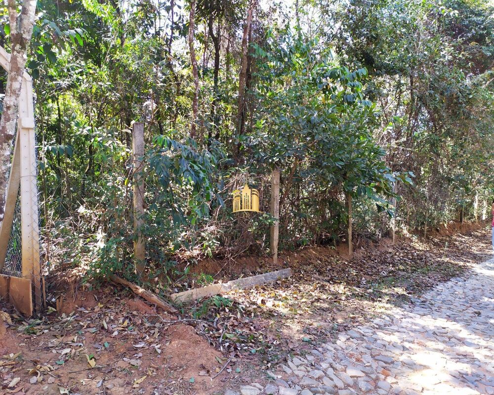 Terreno, 5000 m² - Foto 5