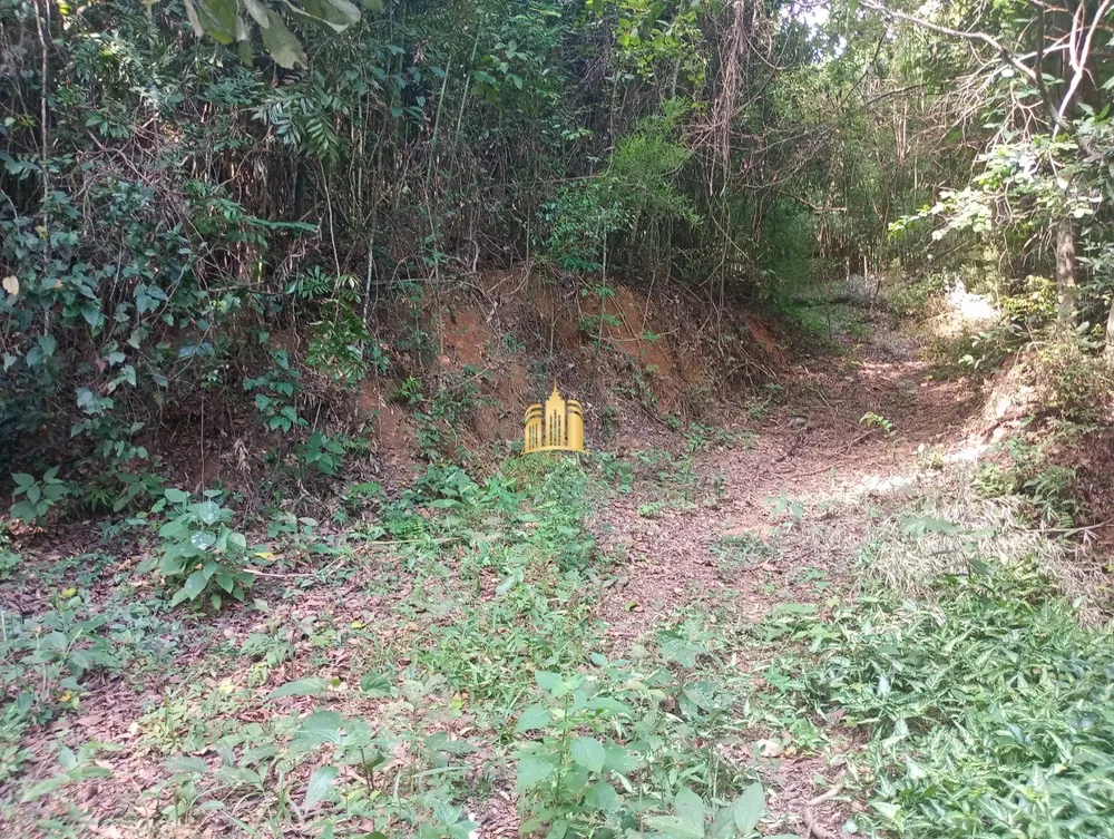 Sítio, 7 quartos, 2 hectares - Foto 4