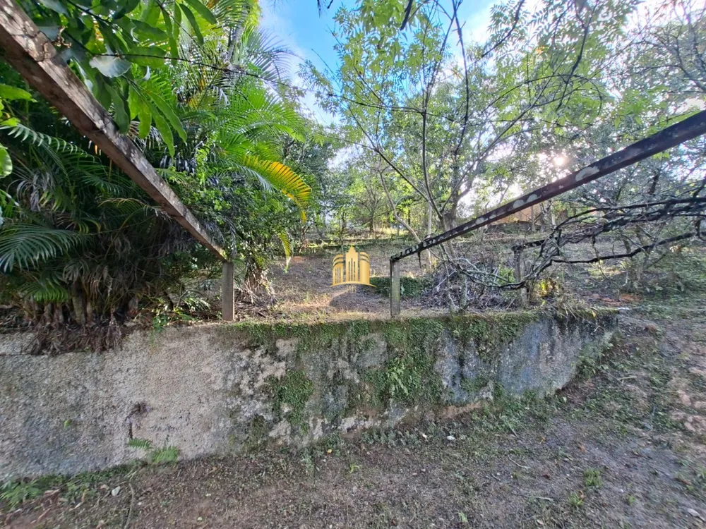 Sítio, 1 quarto, 1080 m² - Foto 6