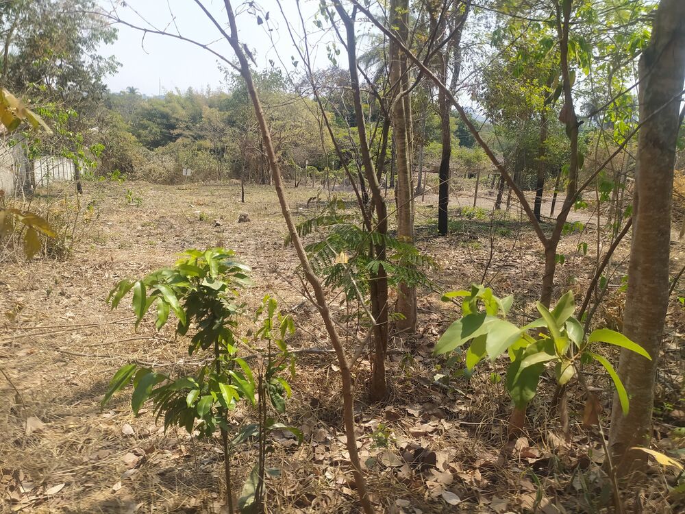 Terreno, 1050 m² - Foto 2