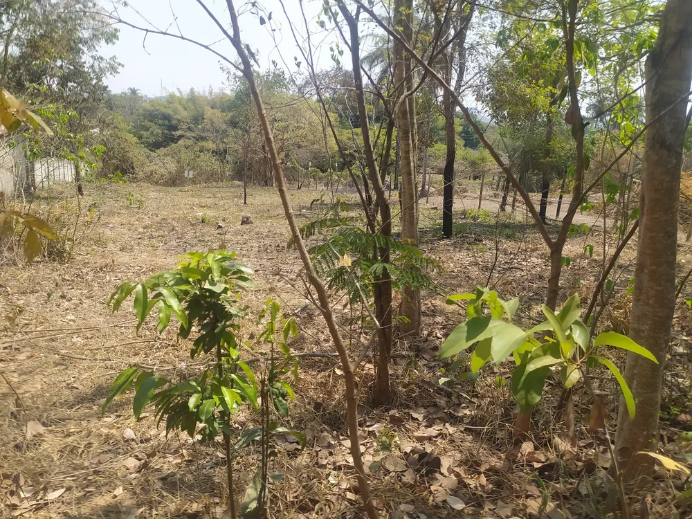 Terreno, 1050 m² - Foto 7