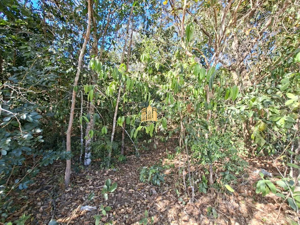 Terreno, 4 hectares - Foto 1
