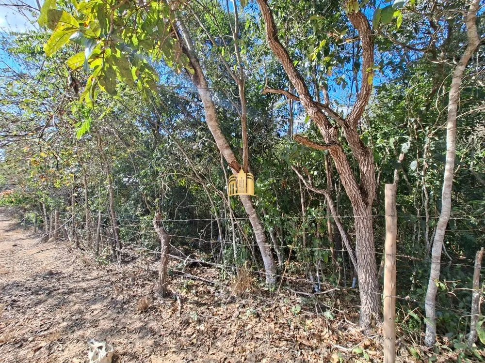 Terreno, 4 hectares - Foto 1