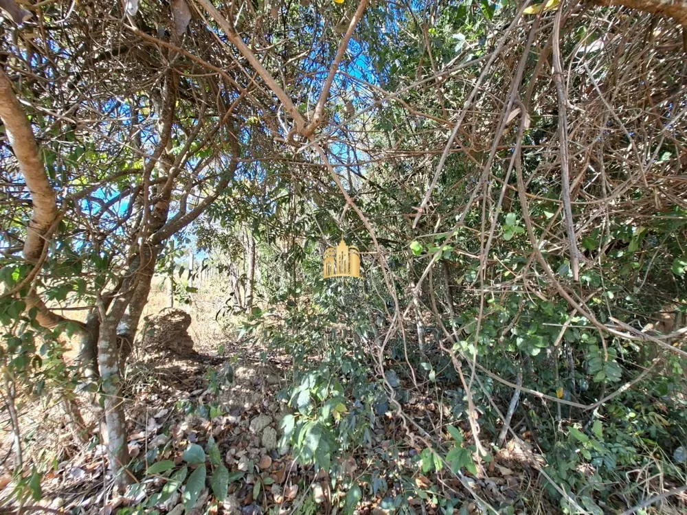 Terreno, 4 hectares - Foto 2