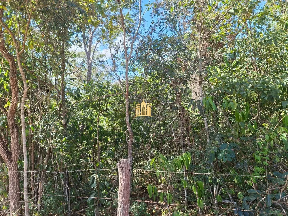 Terreno, 4 hectares - Foto 4