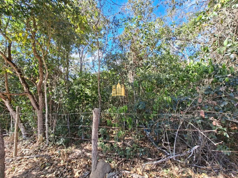 Terreno, 4 hectares - Foto 3