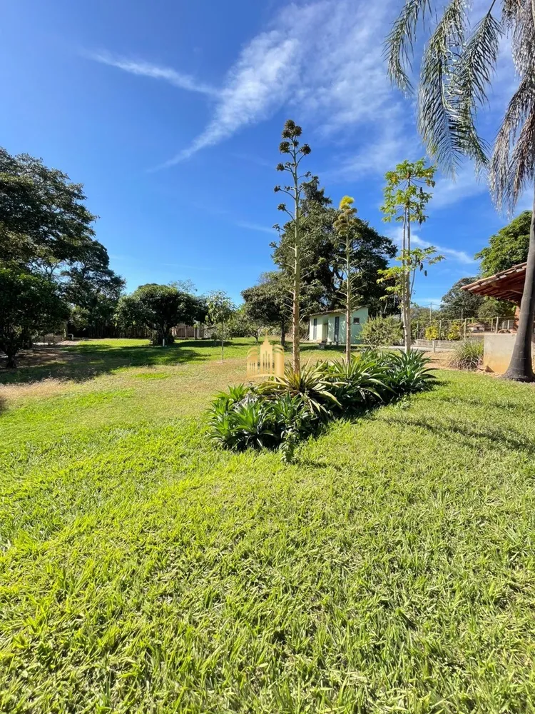 Sítio, 4 quartos, 4650 m² - Foto 3