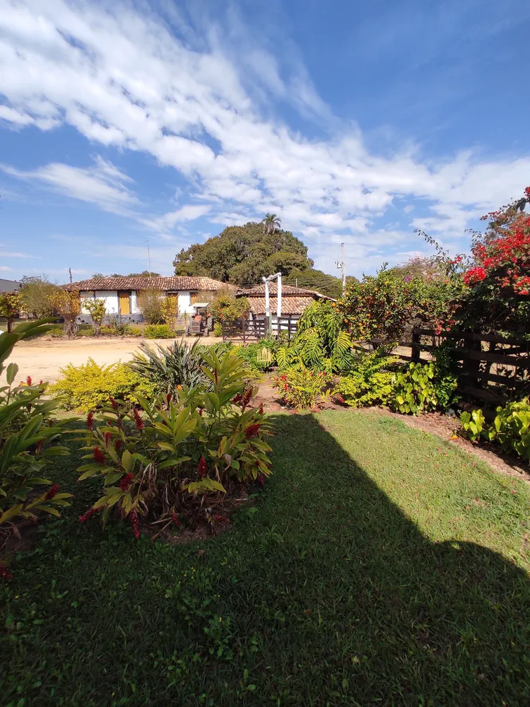 Fazenda, 139 hectares - Foto 12