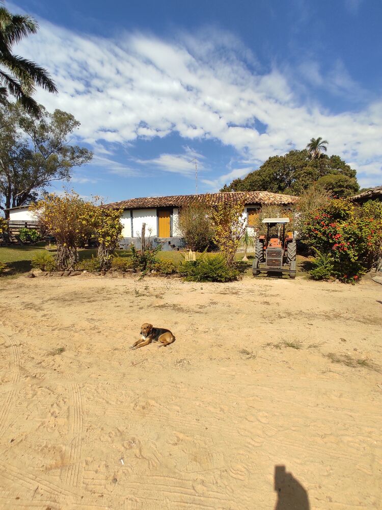 Fazenda à venda com 7 quartos, 1391707m² - Foto 5