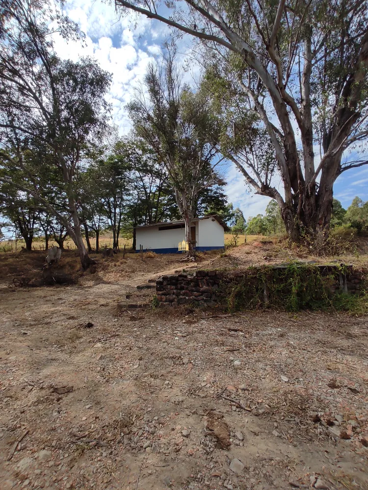 Fazenda, 139 hectares - Foto 15