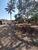 Fazenda-Sítio-Chácara, 139 hectares - Foto 6