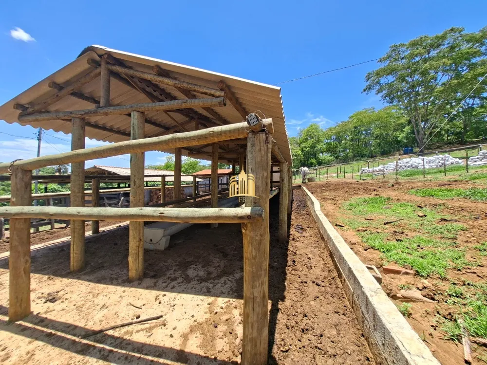 Fazenda, 18 hectares - Foto 9