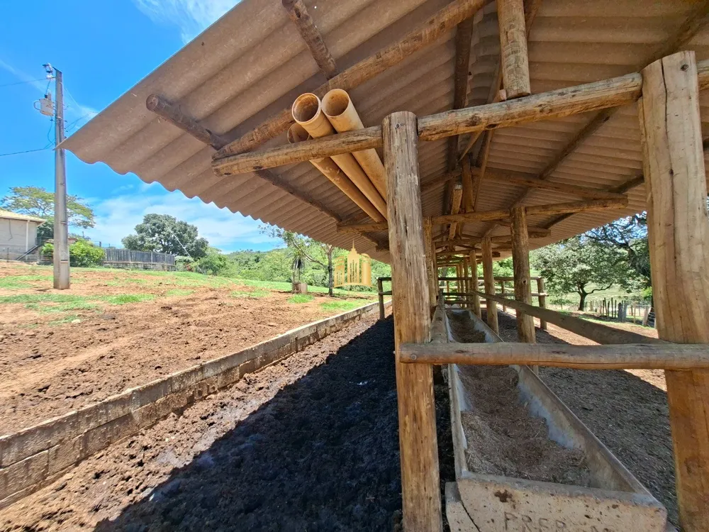 Fazenda, 18 hectares - Foto 10