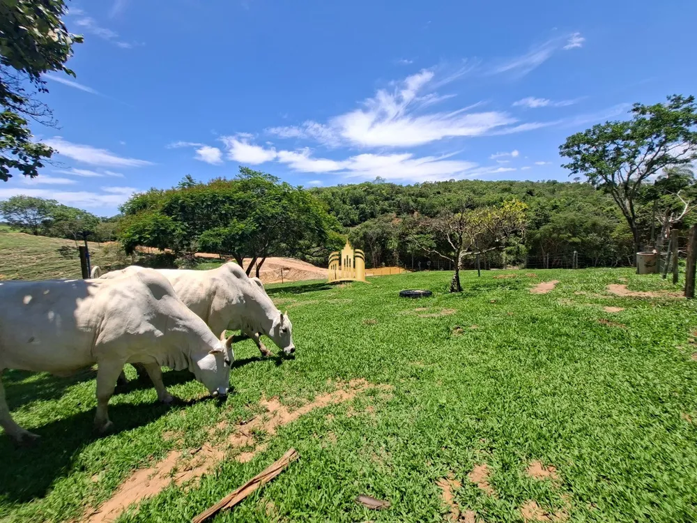 Fazenda, 18 hectares - Foto 8