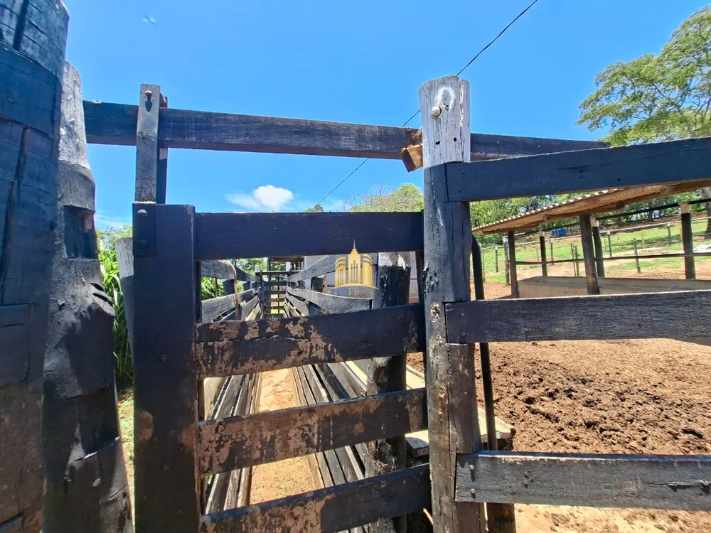 Fazenda, 18 hectares - Foto 4