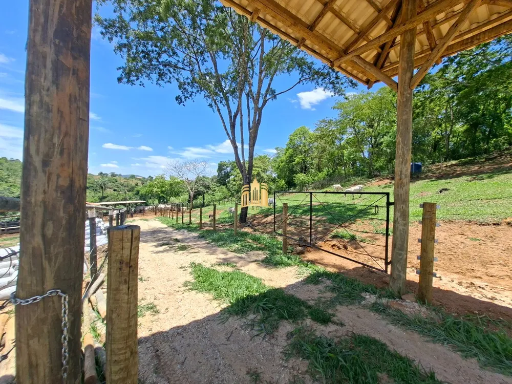 Fazenda, 18 hectares - Foto 11
