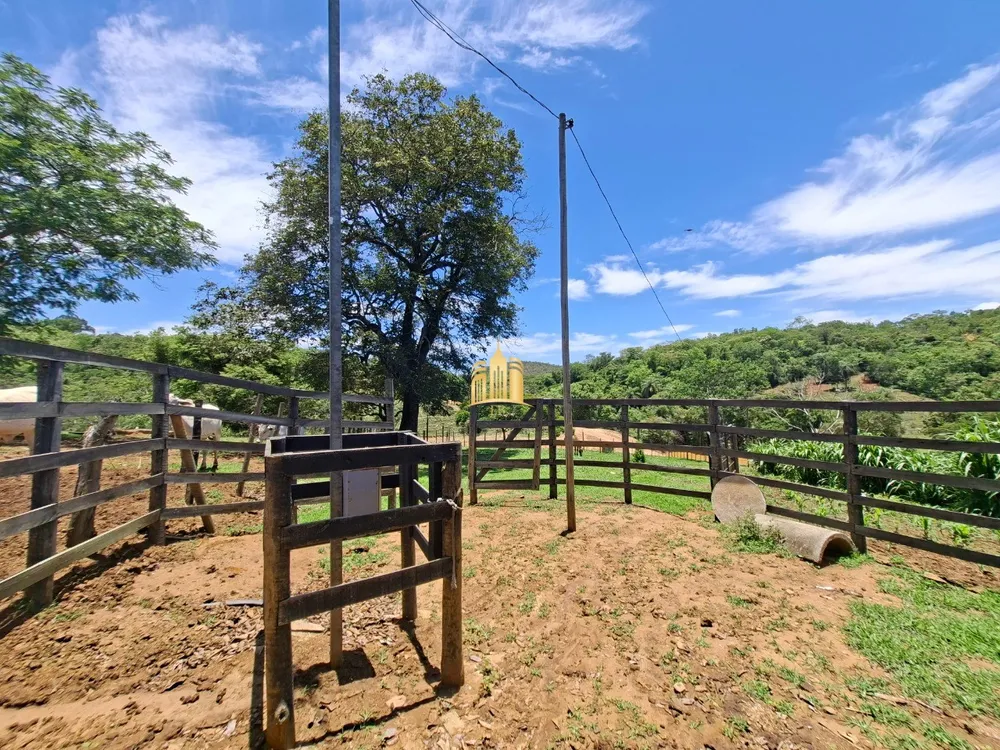 Fazenda, 18 hectares - Foto 7